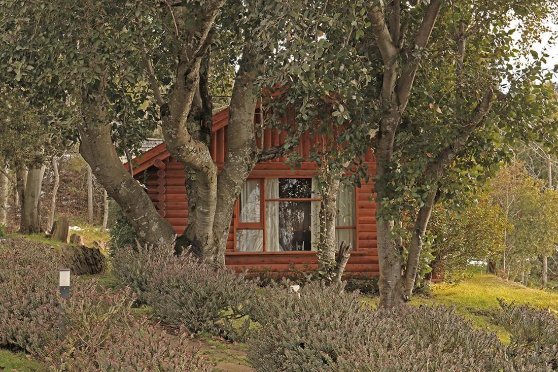 Monasterio Hotel Boutique San Carlos de Bariloche Ngoại thất bức ảnh